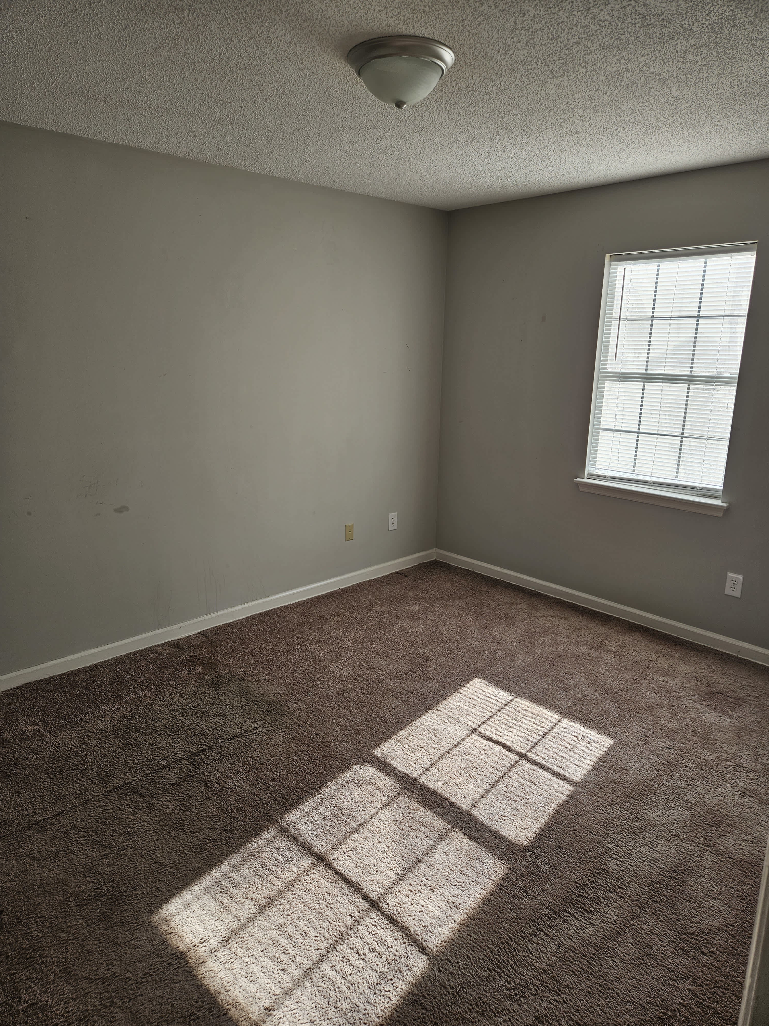 1013 Don Cutler Sr Dr – photo 3