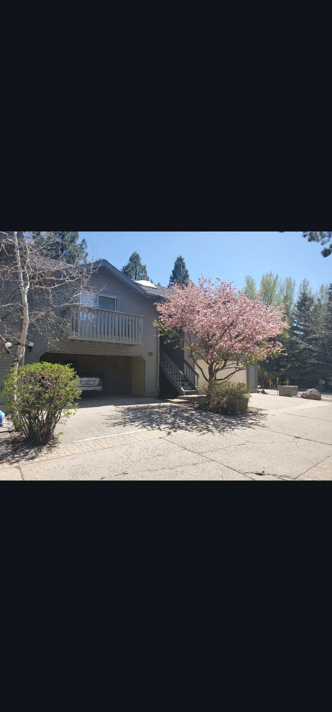 111 East Oak Avenue – photo 5