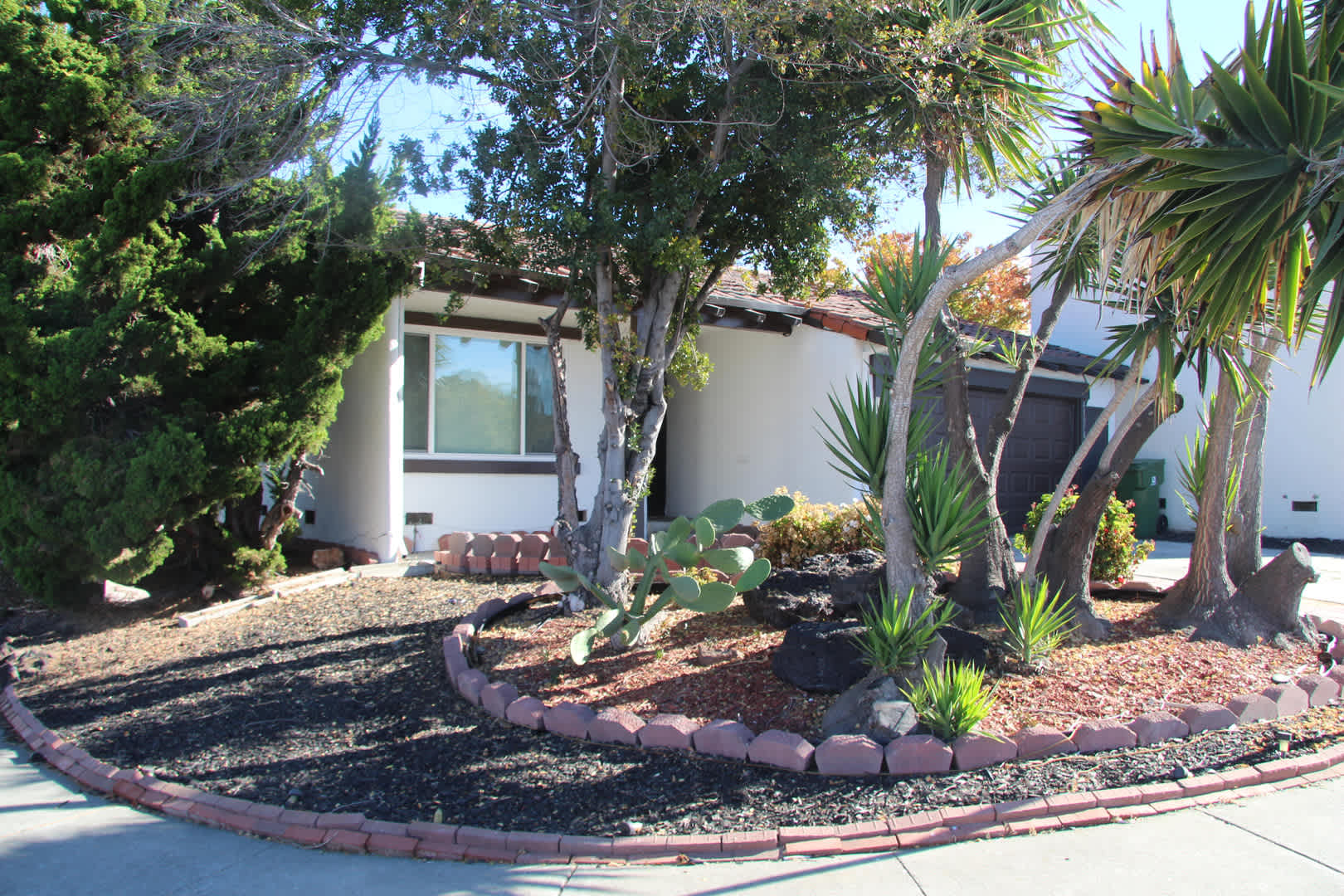 Mission San Jose – 2 Bed / 2 Bath – photo 4