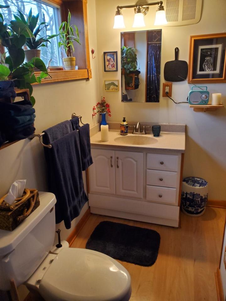 48 Holly Hill DriveUnit B – photo 3