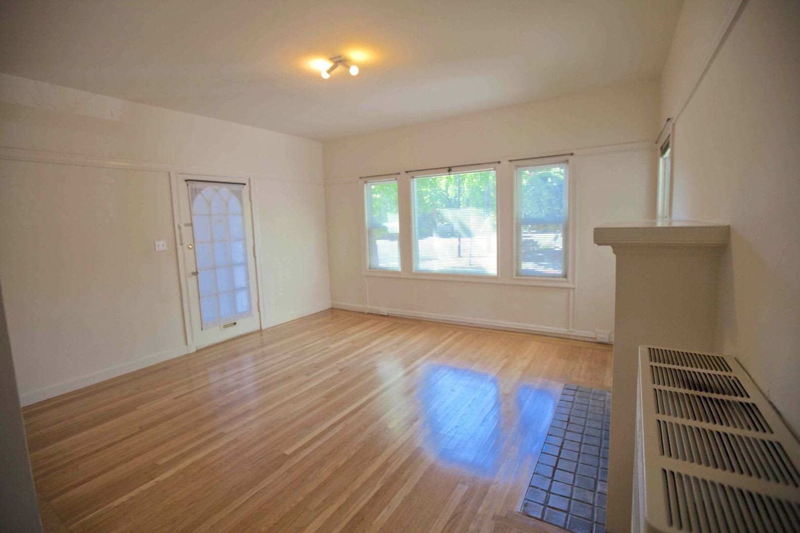 Beautiful, spacious 1-bdr with new windows, great wood floors, and lots of storage space – photo 4