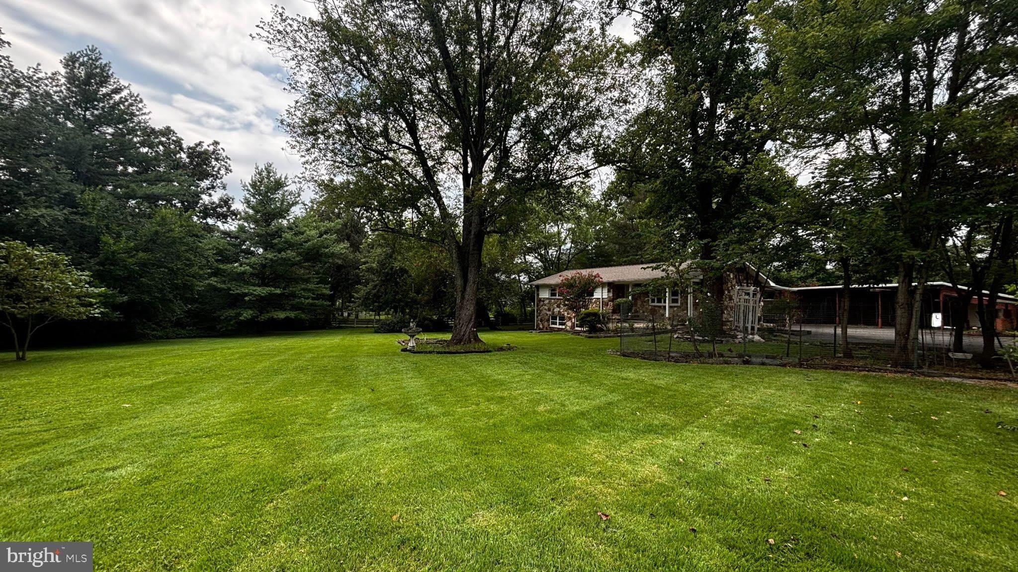25339 RAINBOW RANCH Lane – photo 3