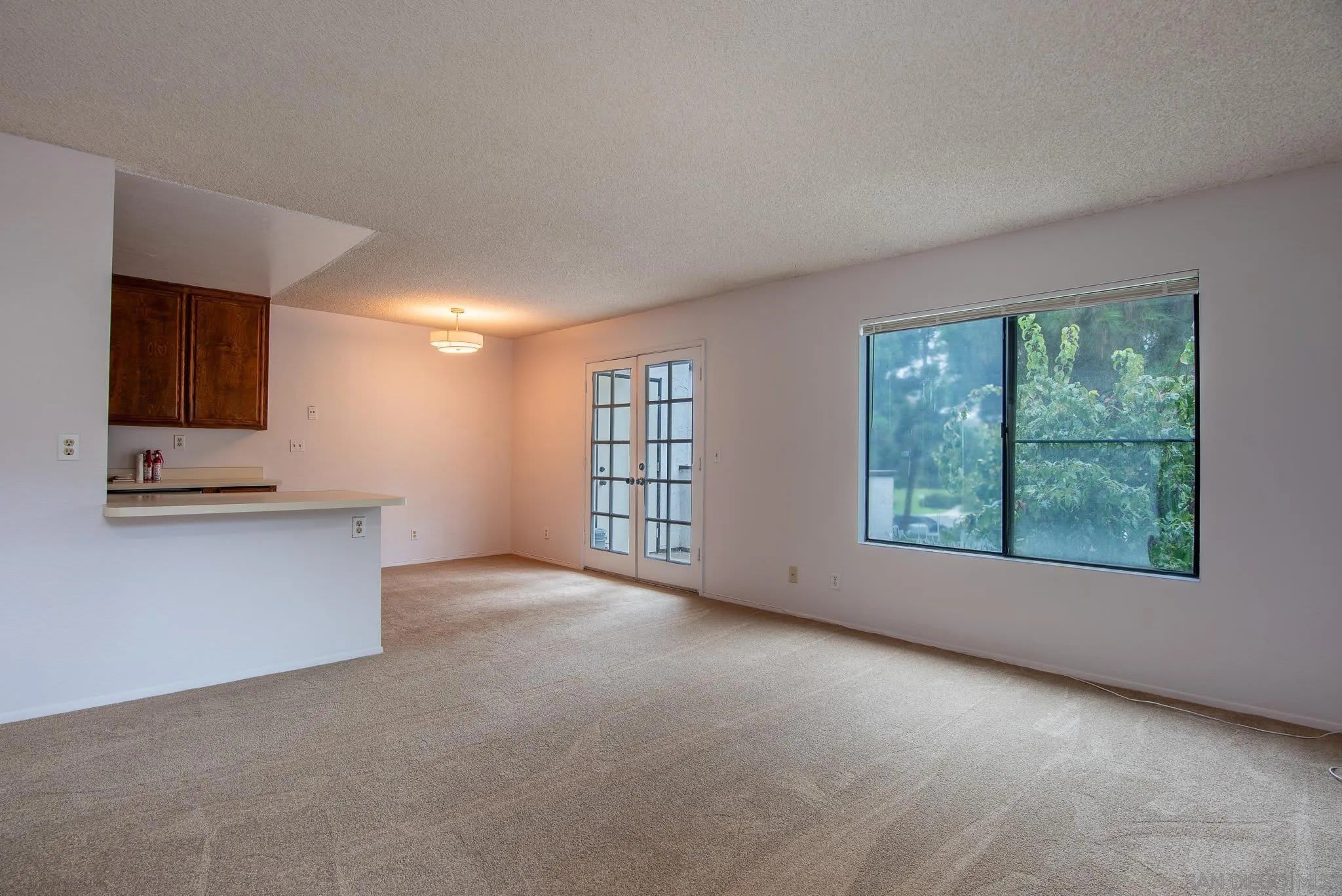 5046 Collwood Way – photo 3