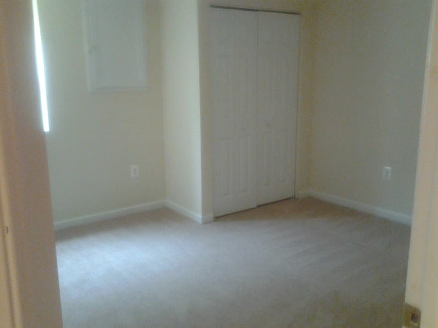 Beautiful and spacious 5 BR/2BA minutes from UMD campus – photo 5