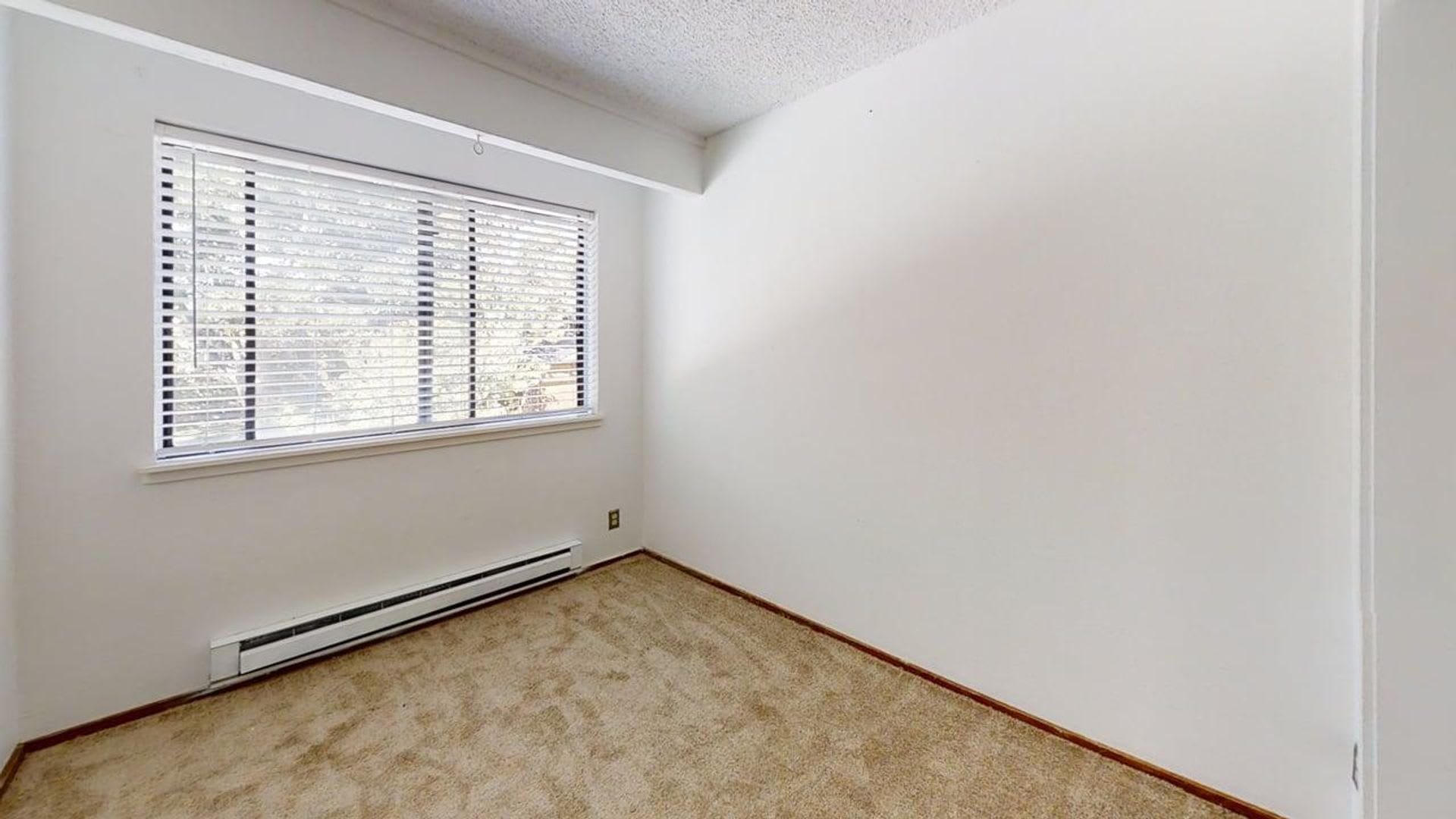 Spacious Willow Springs Townhome Near Trails, Shopping & Dining – photo 4