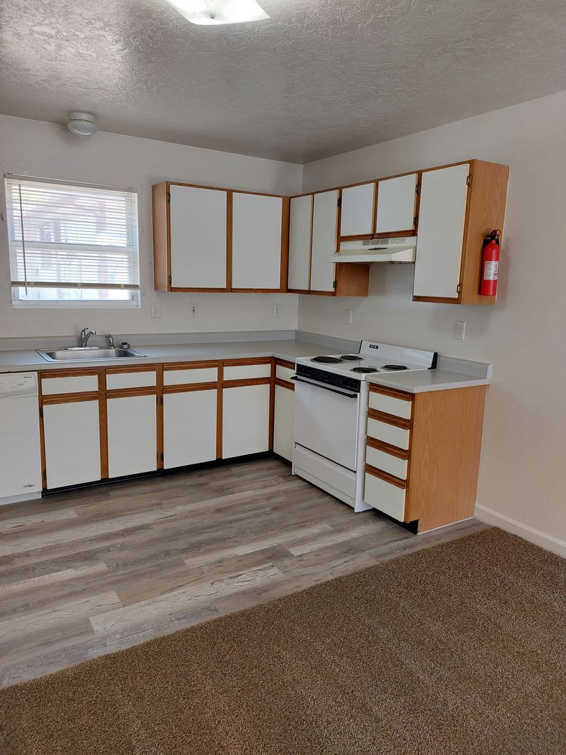 Four Bedroom Near UNC – photo 1