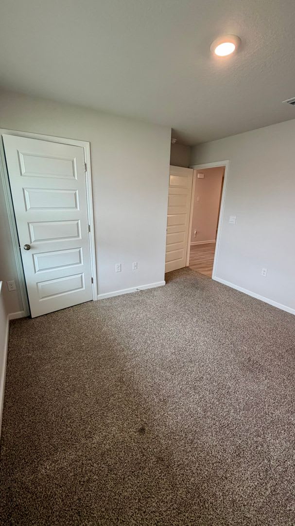 250 Boggy Creek Way – photo 5