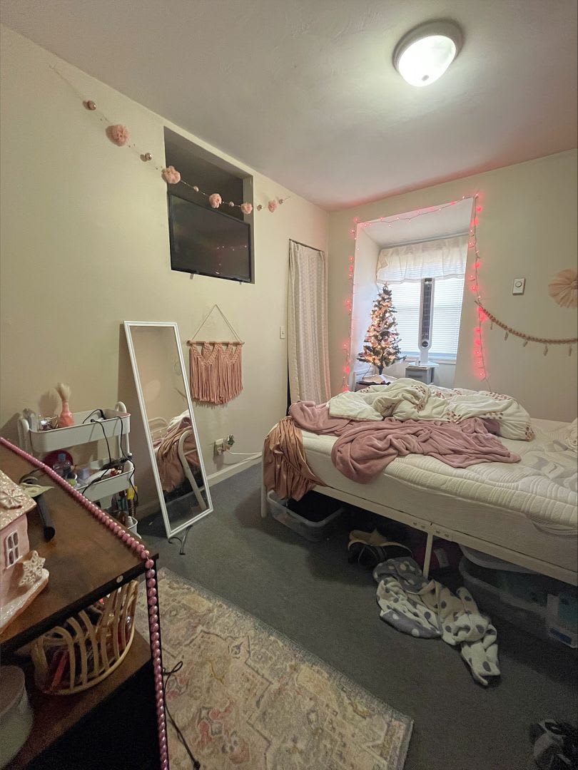 8 Person House Blocks From Chauncey Village And Campus Bars – photo 3