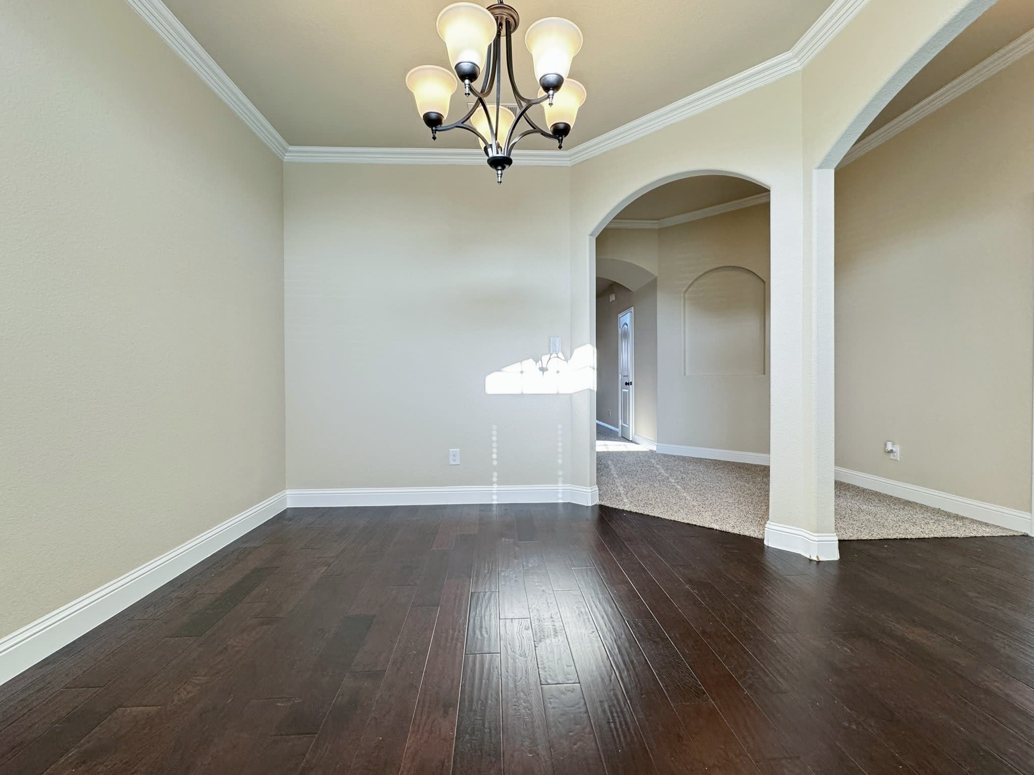 4106 Whitetail Lane – photo 5