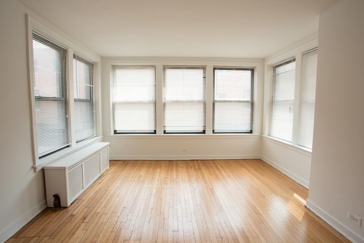 5337 S. Hyde Park Boulevard – photo 3