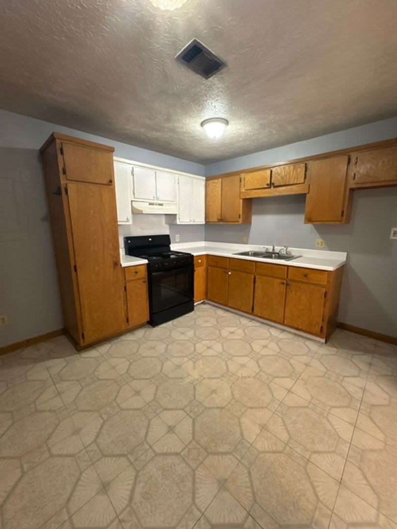 295 Homer Rd. (Booneville Apts 1) – photo 4