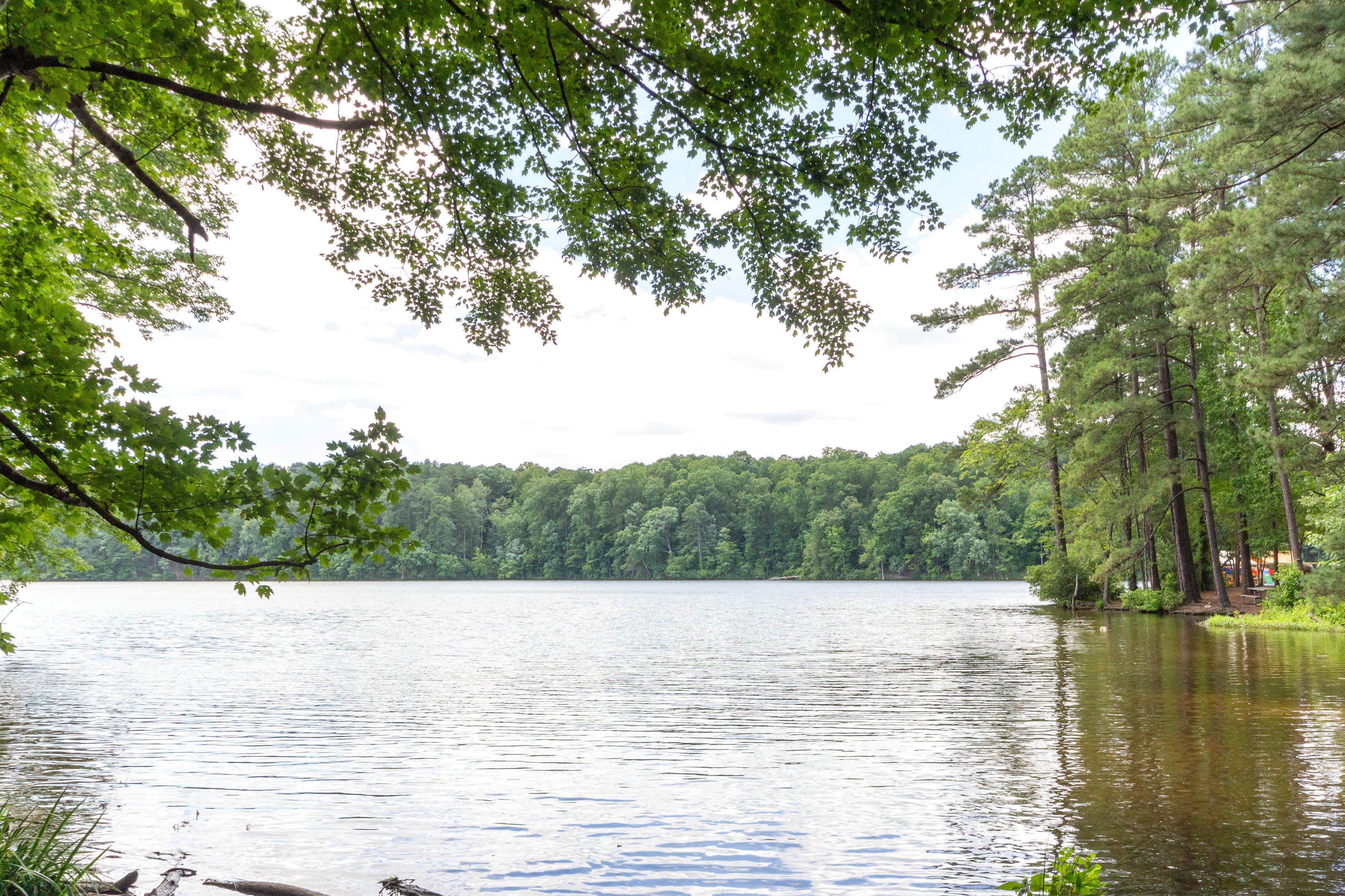 Lake Johnson Mews – photo 2