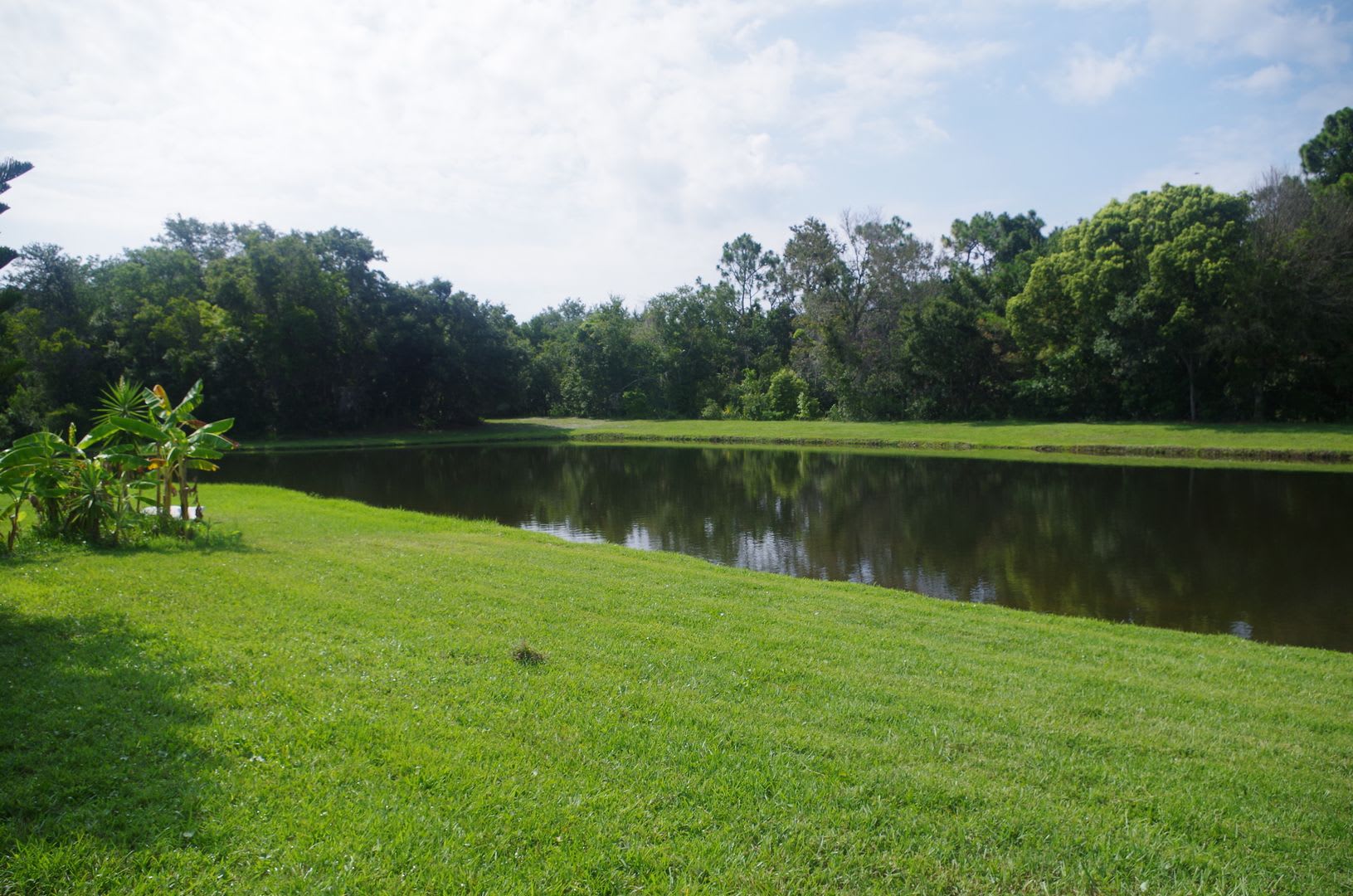 Pond Views-Updated Brandon Home! – photo 4