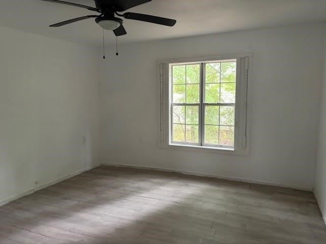1037 Cedar Street – photo 5