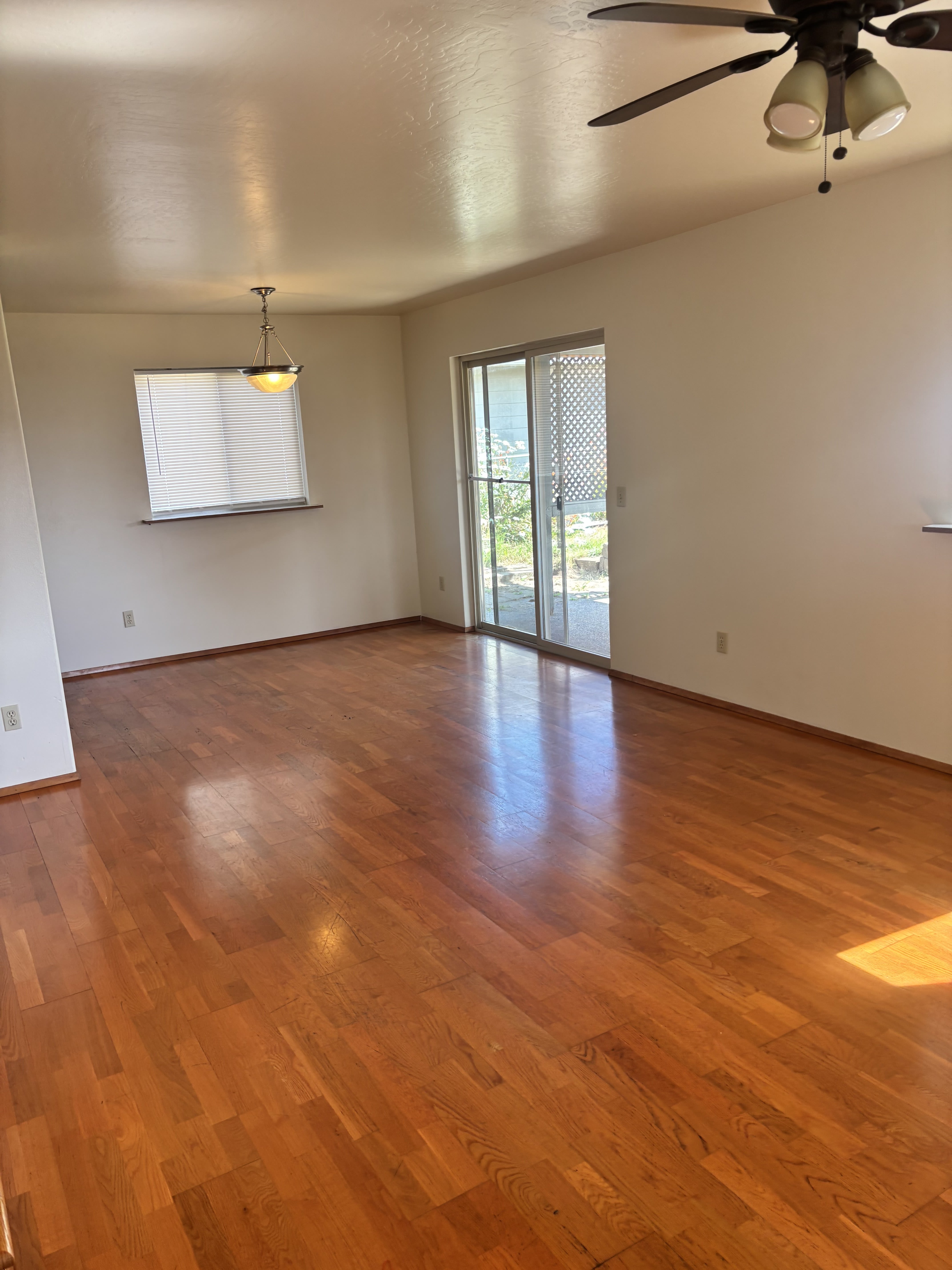17305 Blueberry Drive – photo 3