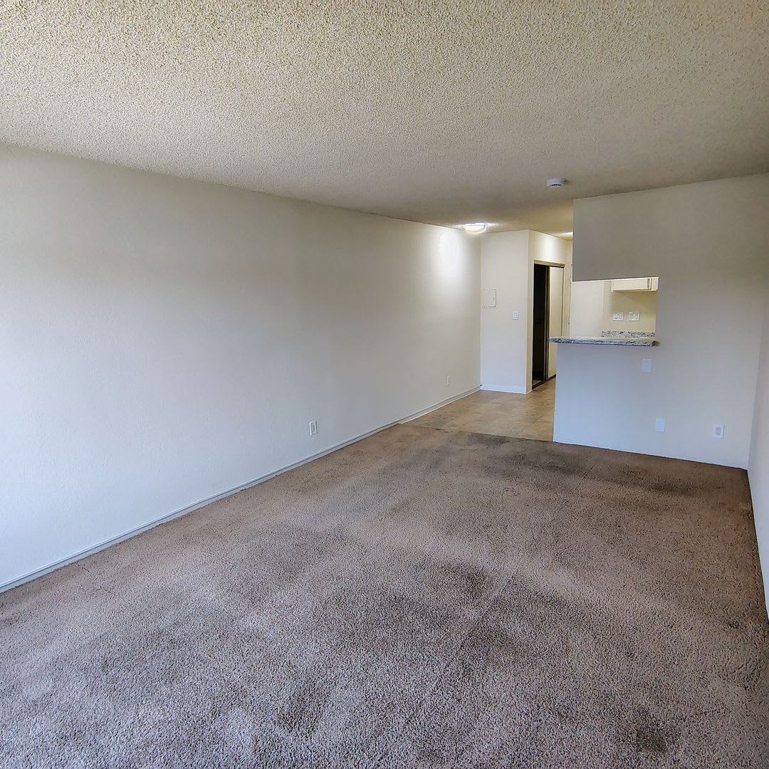 12850 Branford Street – photo 4