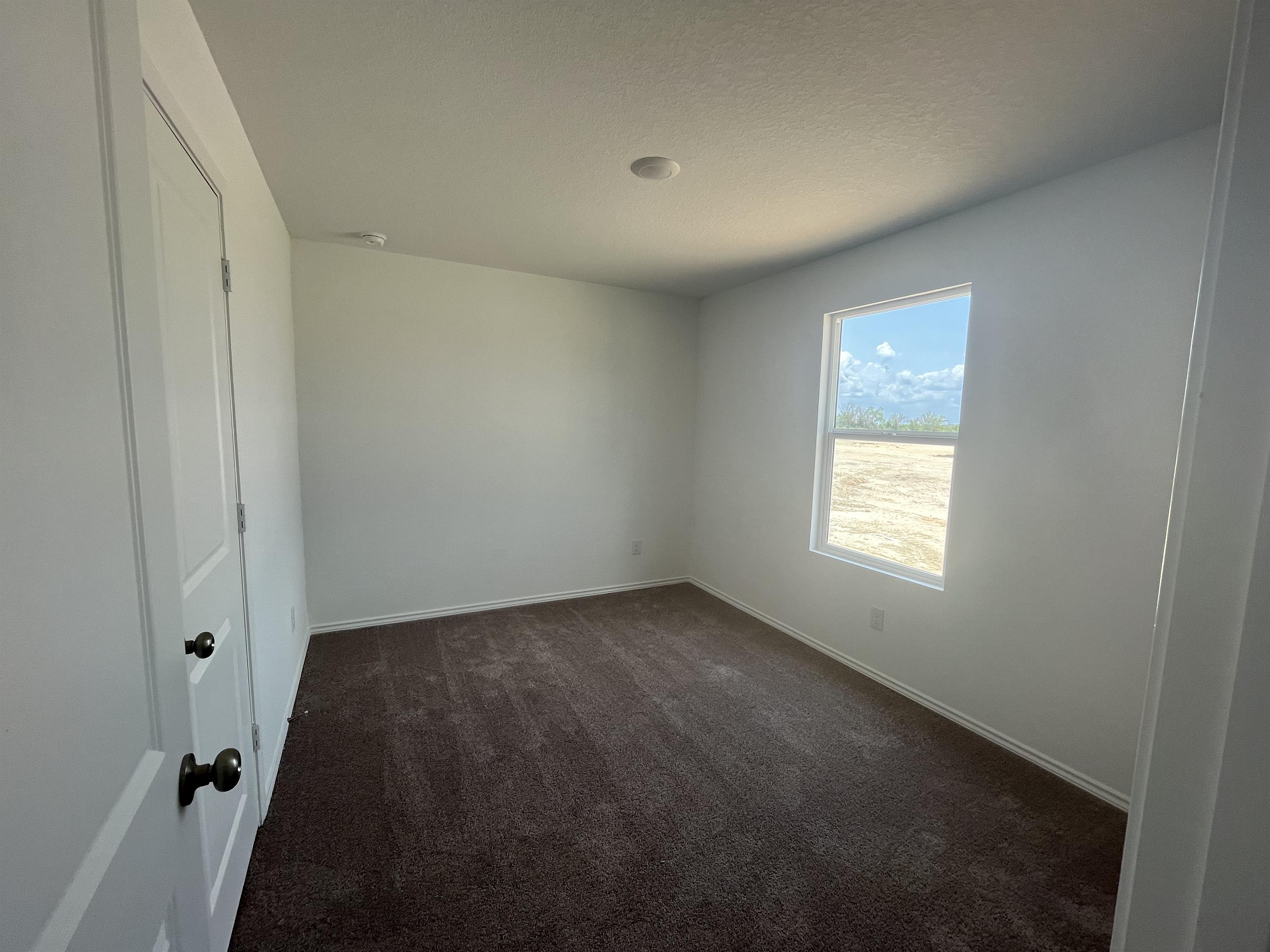 3729 Wentz Hill Dr – photo 4
