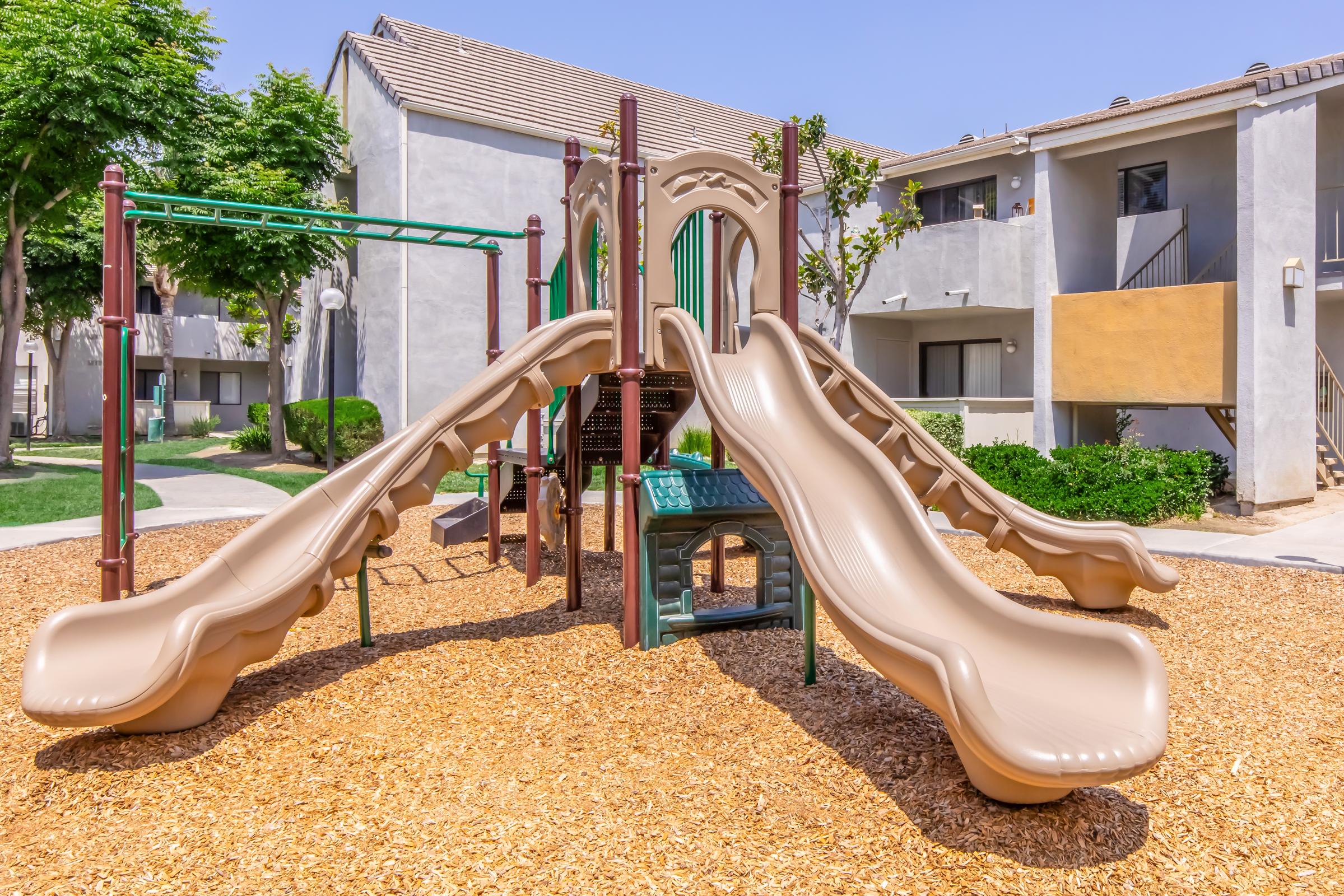 Palm Court Apartment Homes – photo 5