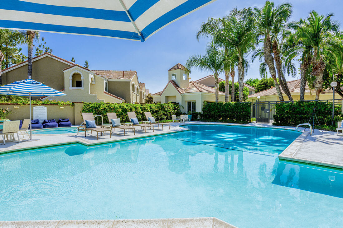 El Paseo Apartment Homes – photo 4