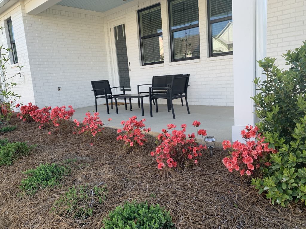 468 Lilly Loop – photo 1