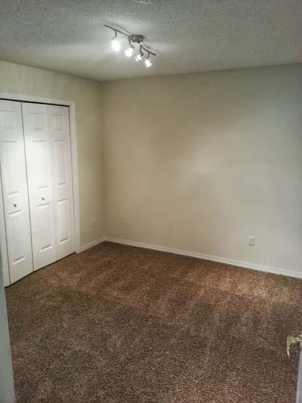 520 Hanging Moss Rd – photo 4