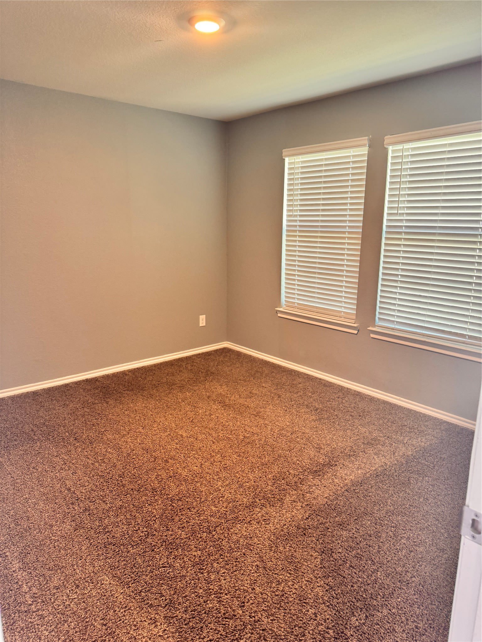 2900 Buttonbush Drive – photo 3