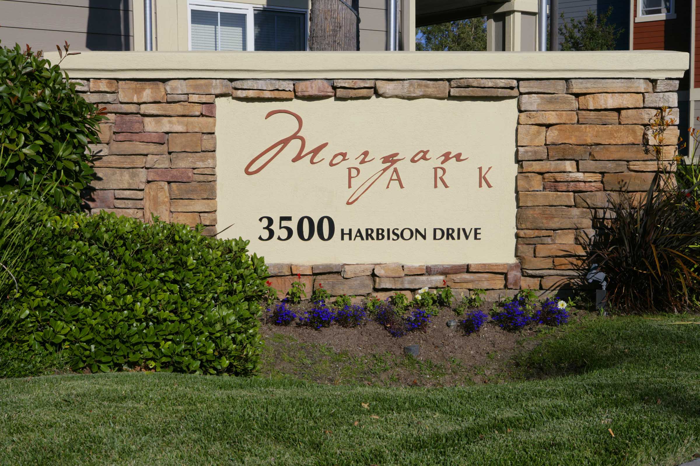 Morgan Park – photo 5