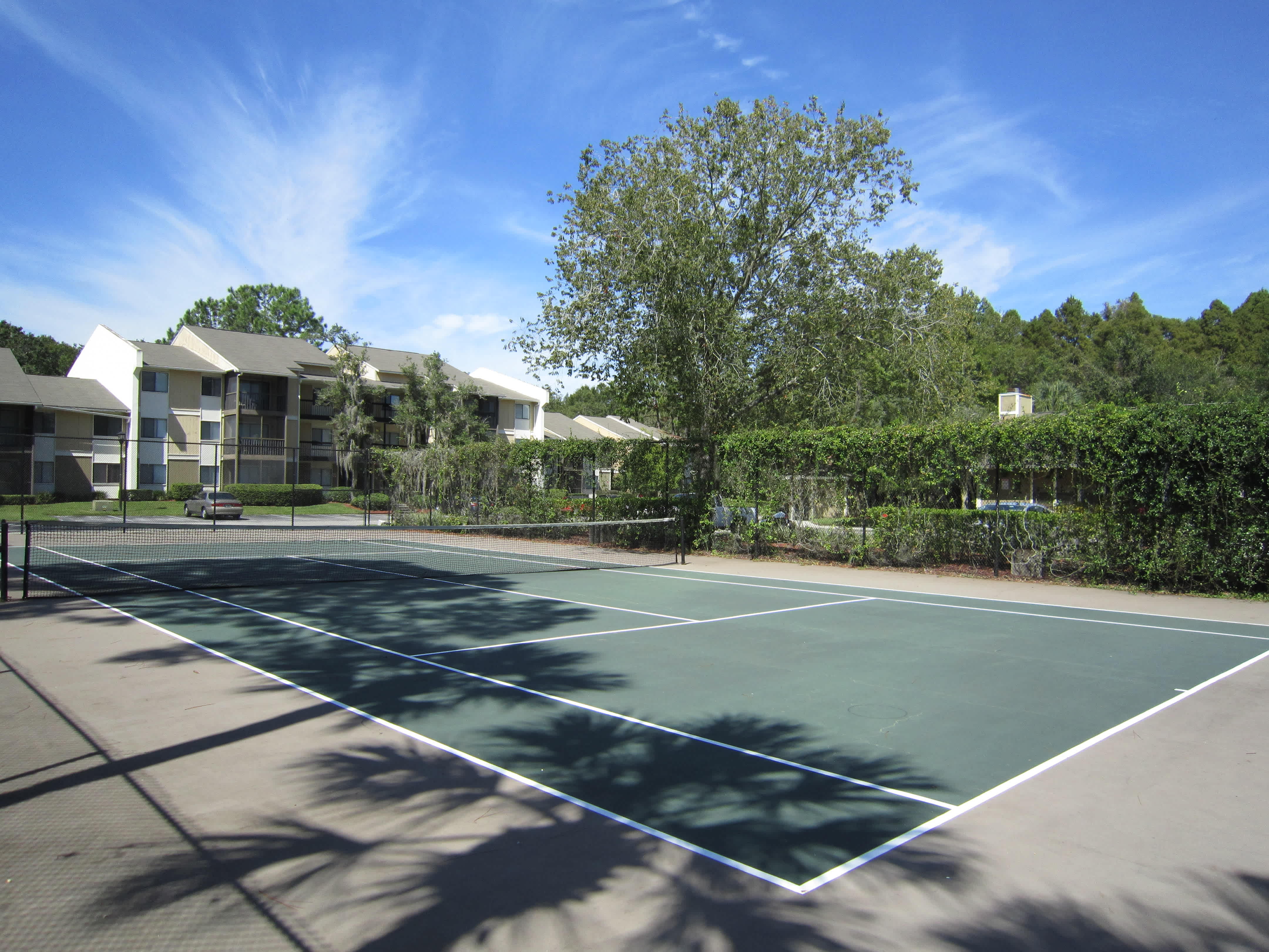 Tampa Northeast – photo 3