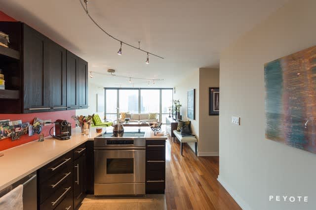 2 East Erie Street 2906Unit 2906 – photo 4