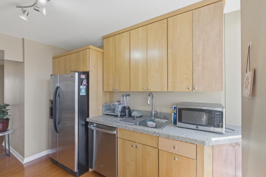 1660 North Lasalle Dr – photo 5