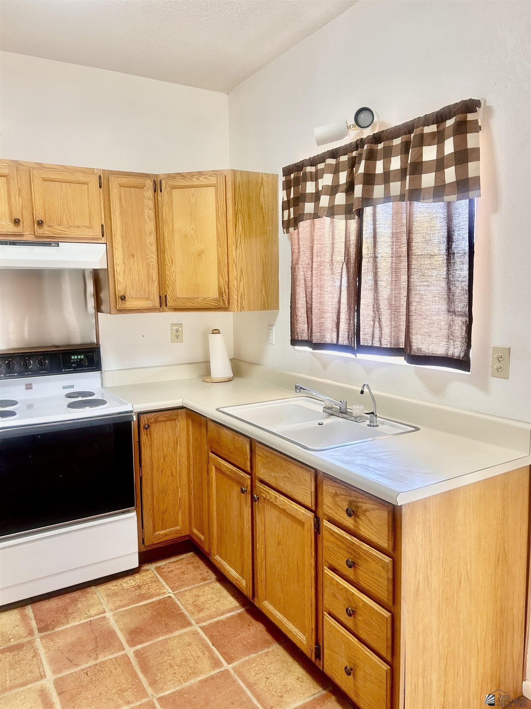 12255 S El Camino Del Diablo – photo 3