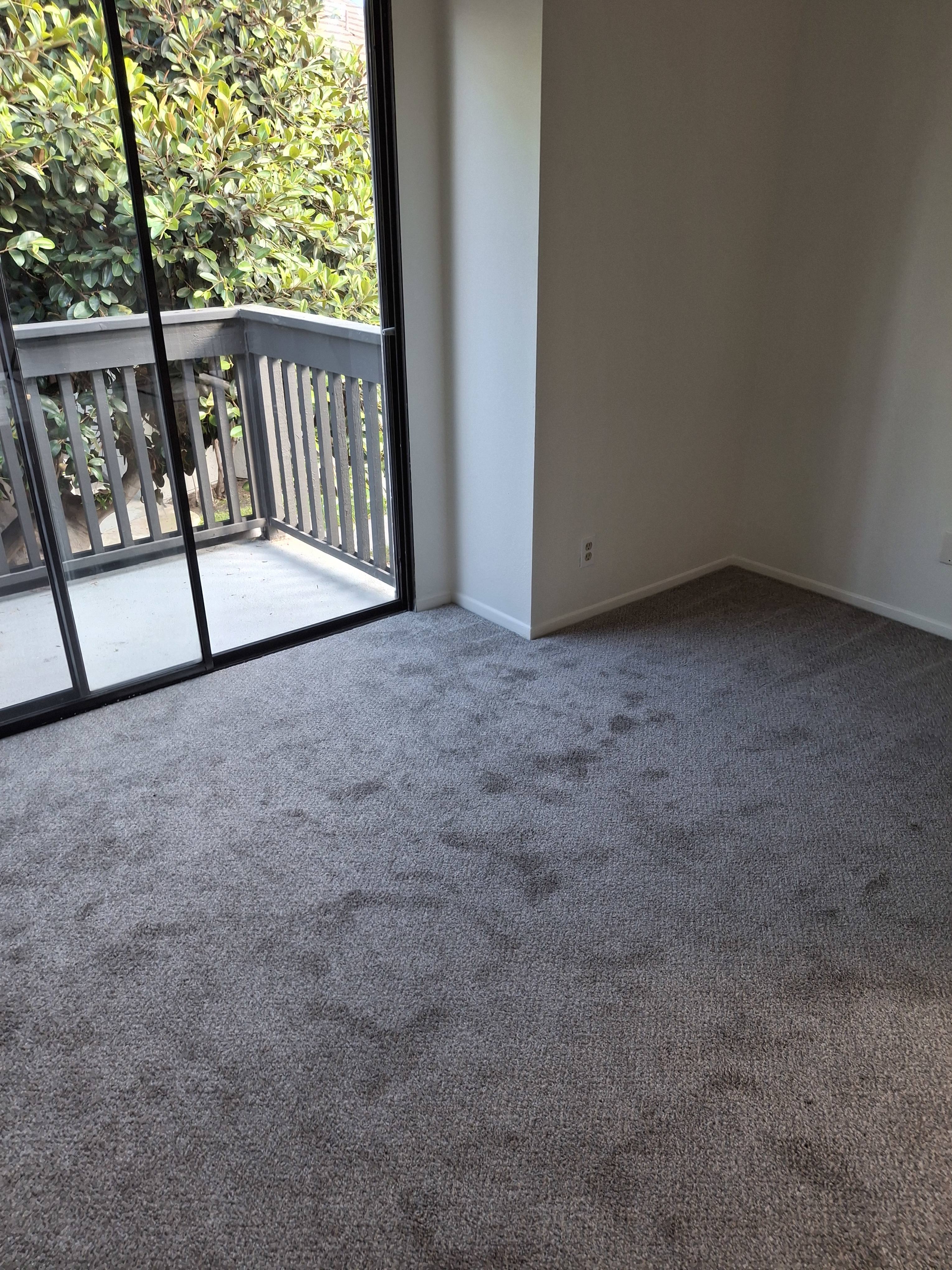 469 Orange Blossom – photo 1