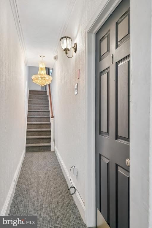 320 S JUNIPER STREET – photo 3