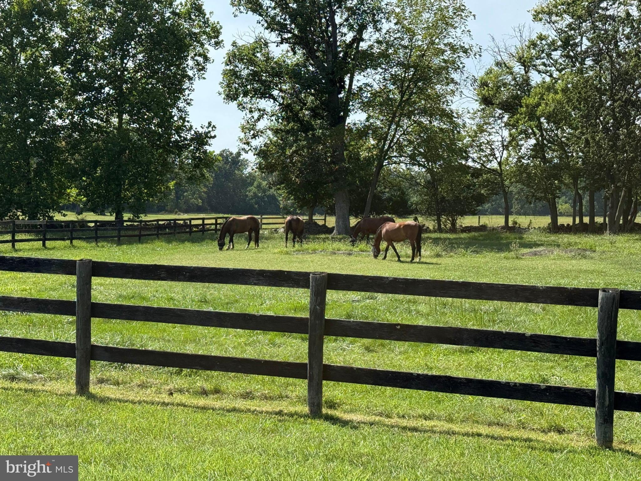 857 PAGE BROOK Lane – photo 4