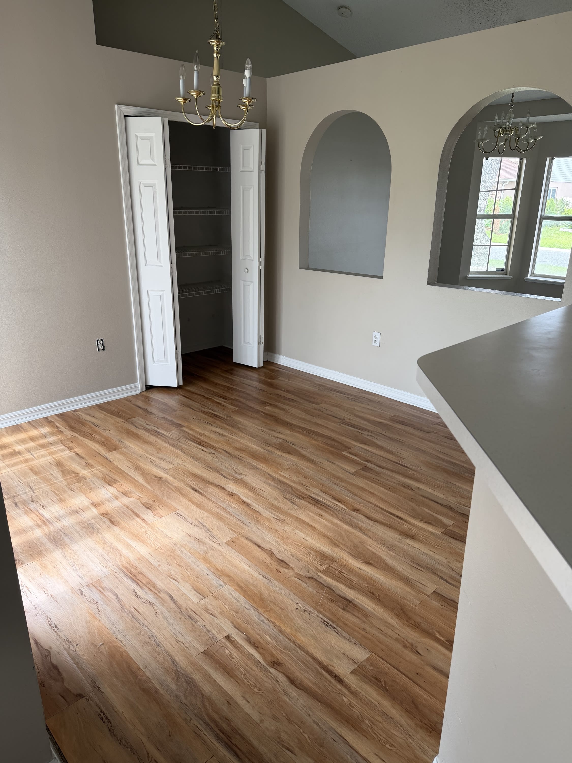 255 Lobelia Drive – photo 5