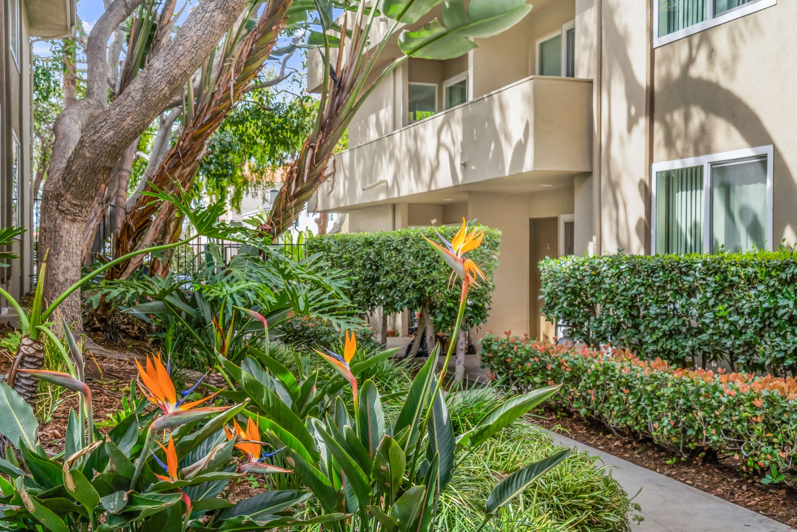 West Park Village – photo 5