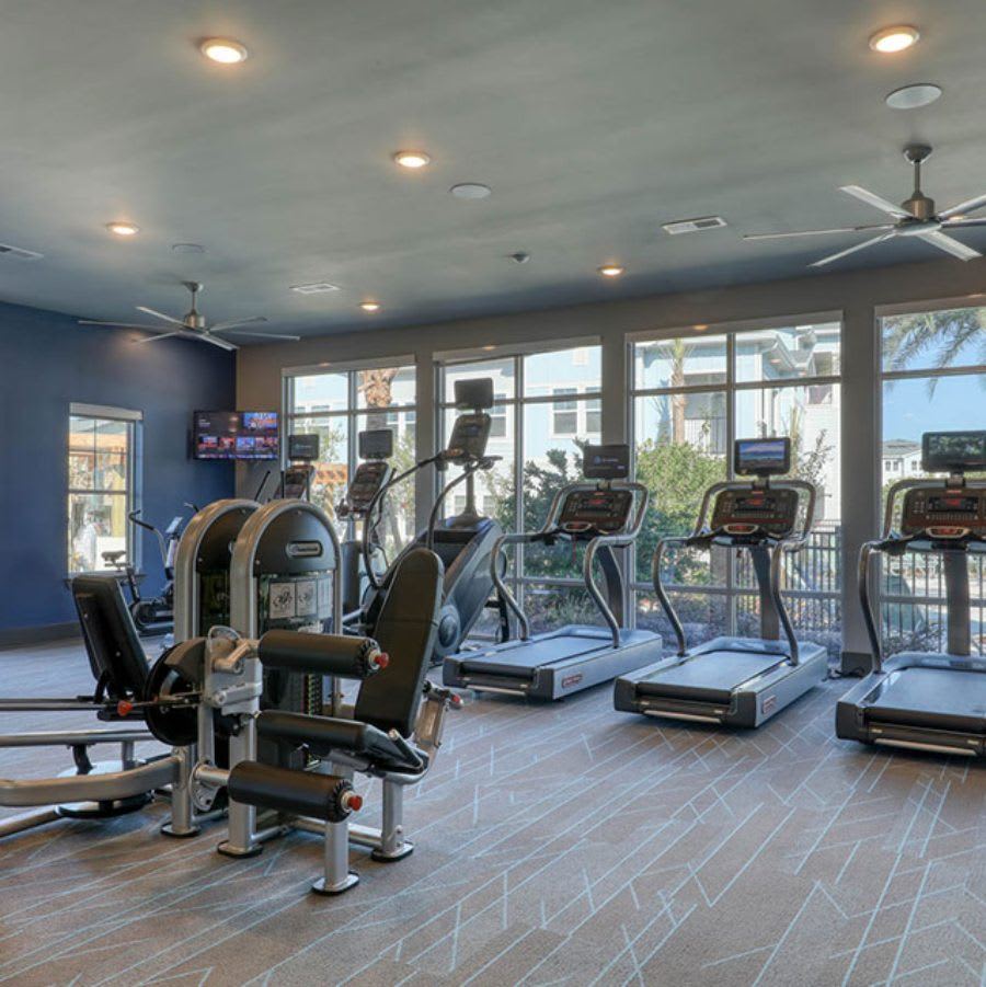 The Ridley – photo 3