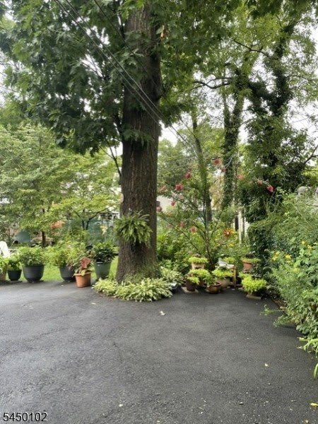 74 Forest St – photo 3