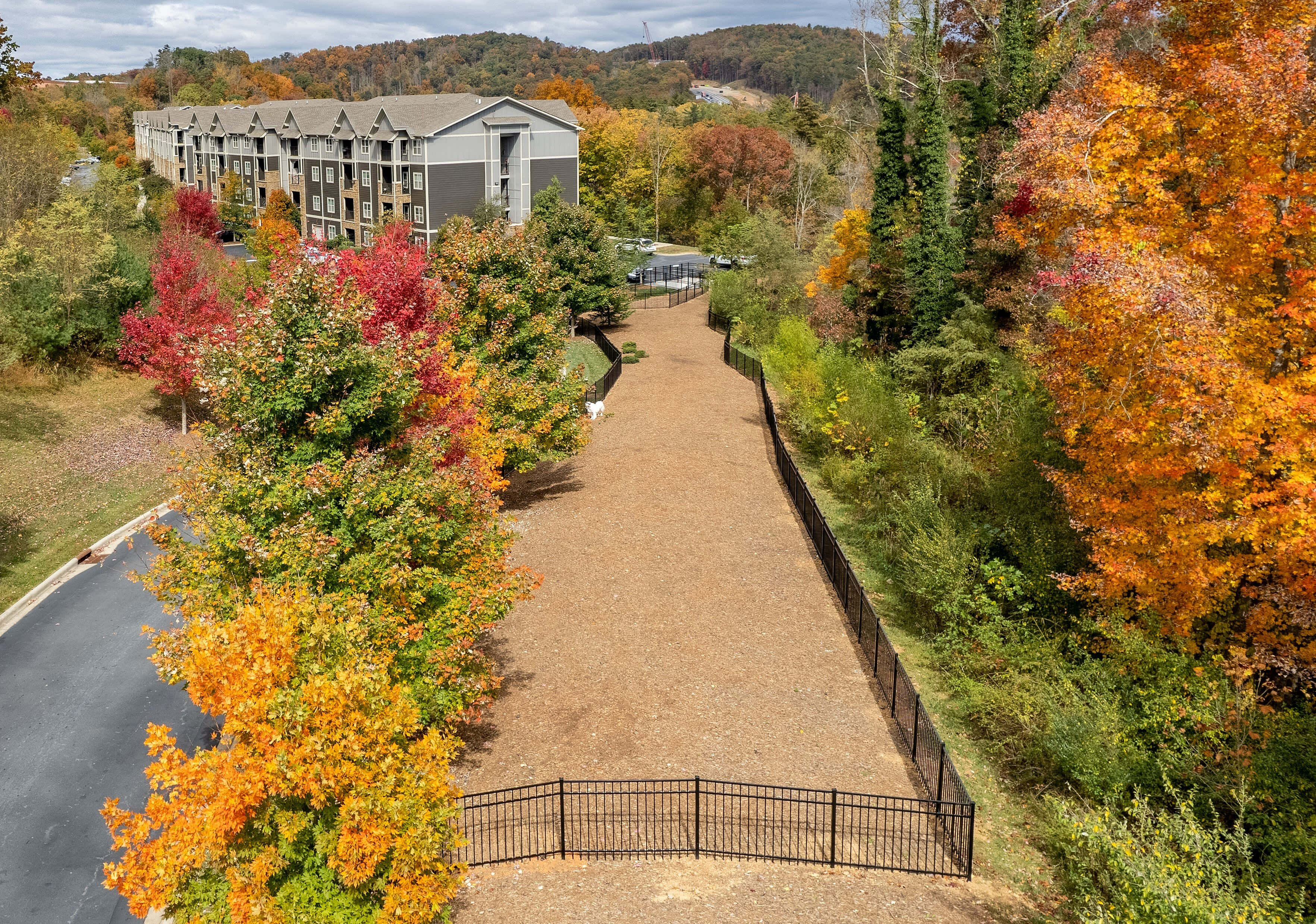 Aventine Asheville – photo 5