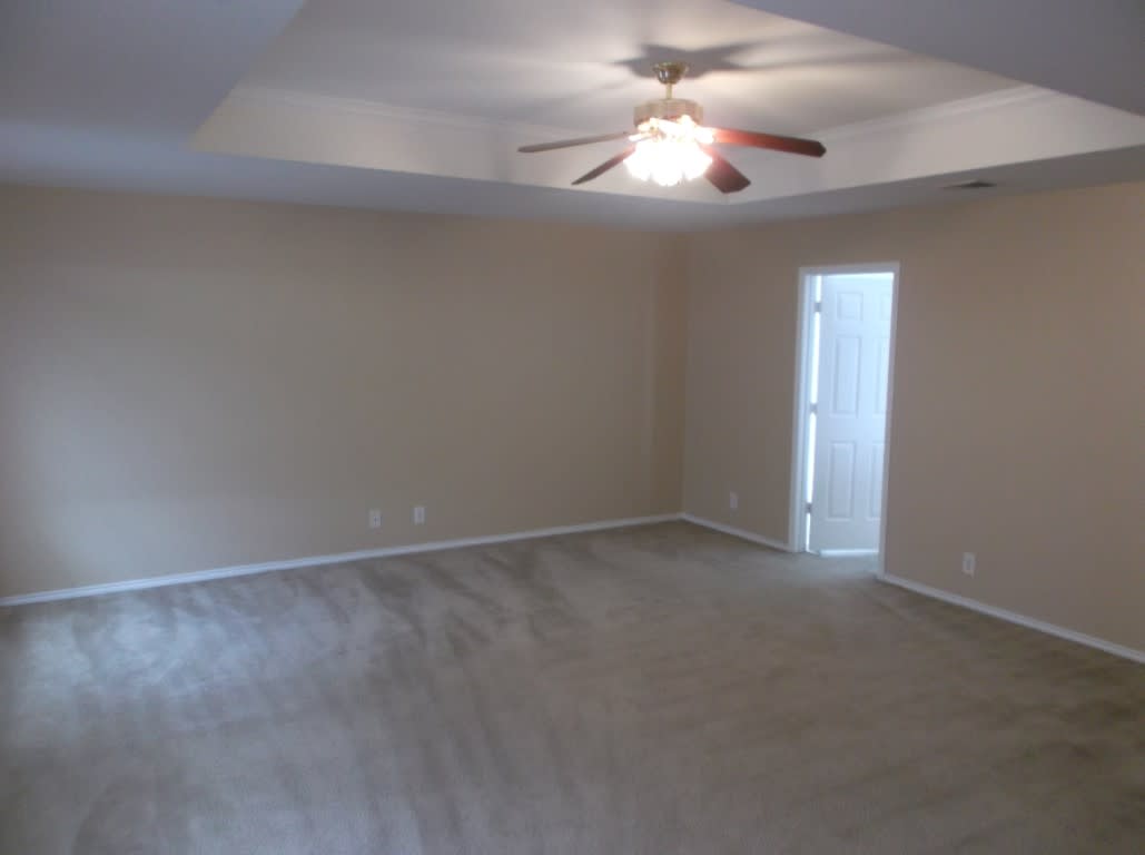 246 Blue Juniper – photo 4