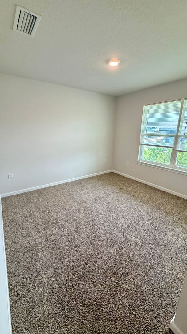 250 Boggy Creek Way – photo 4
