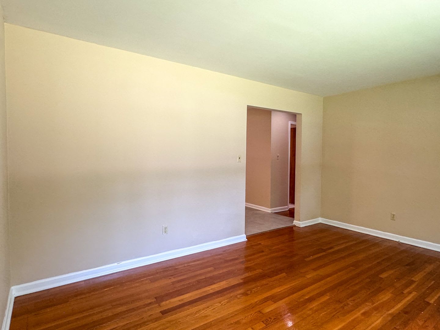 1004 S. Park Drive, Petersburg – photo 4