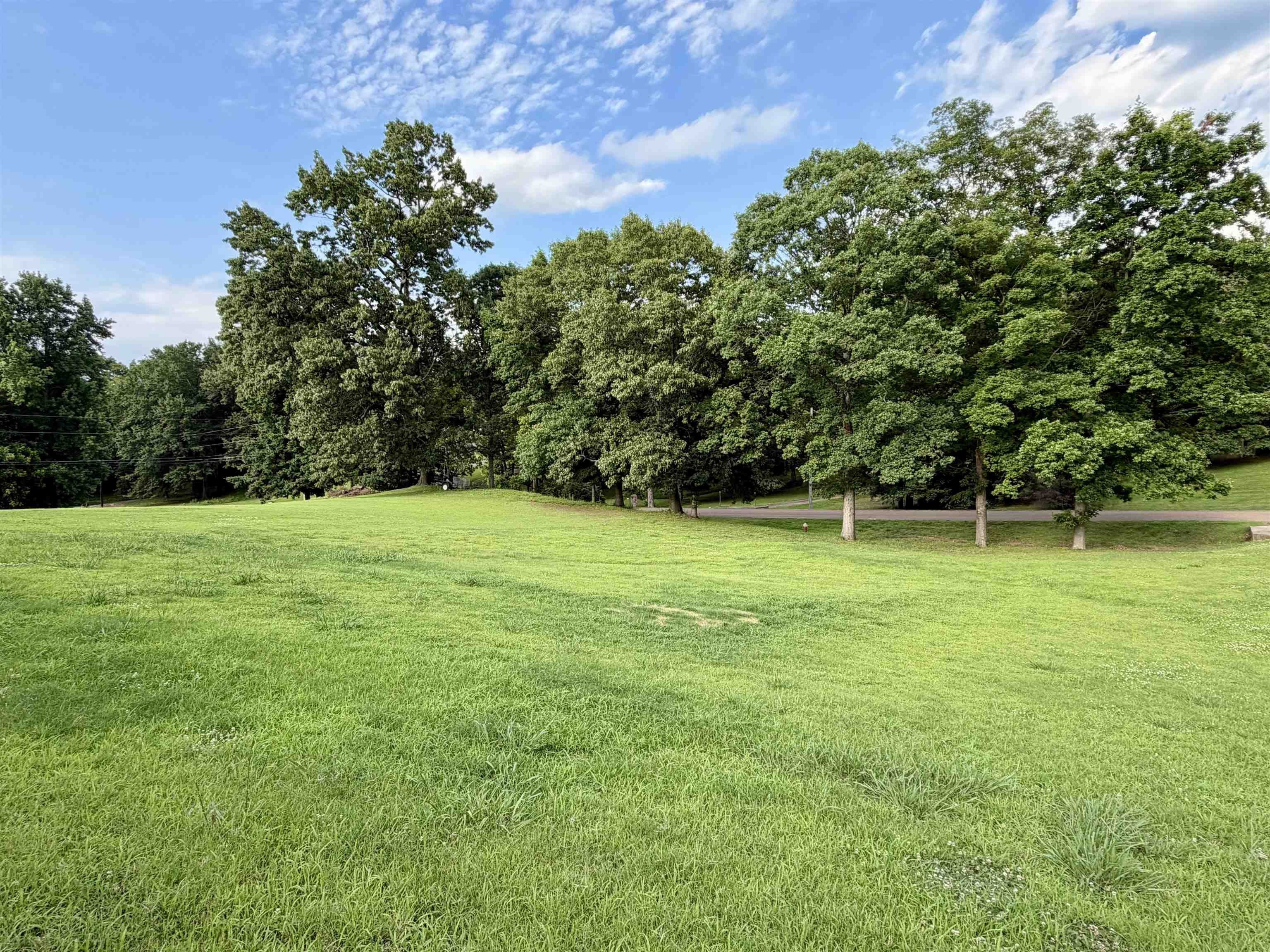 271 MEADOWLAND Dr – photo 5