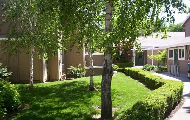 Cedar Village – photo 2