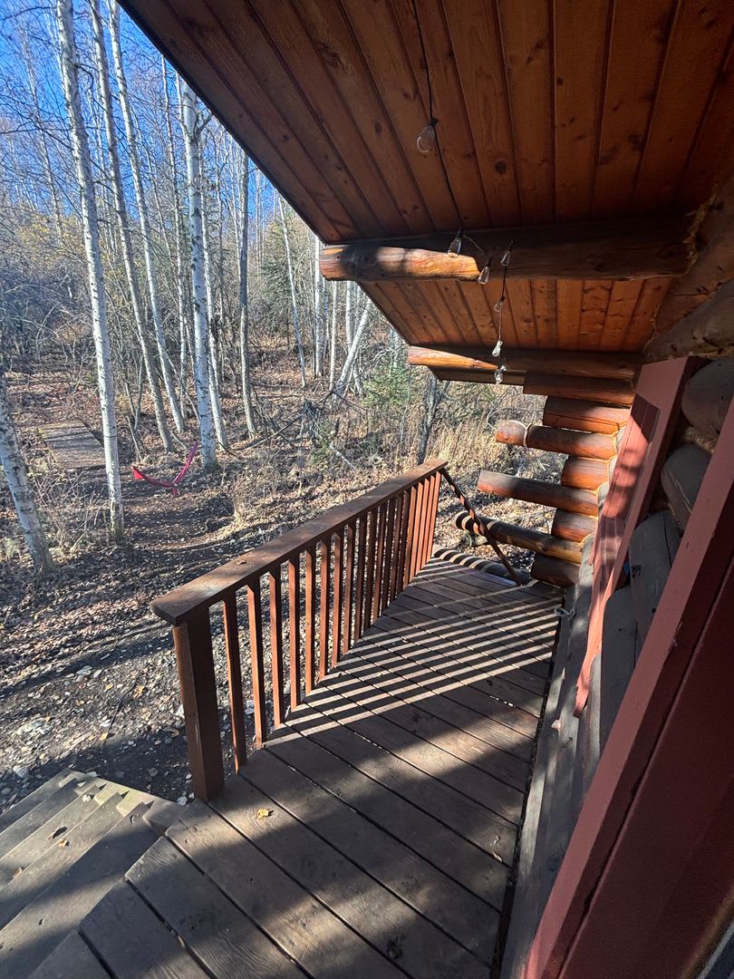 Dry cabin off Goldstream / Dog friendly – photo 2