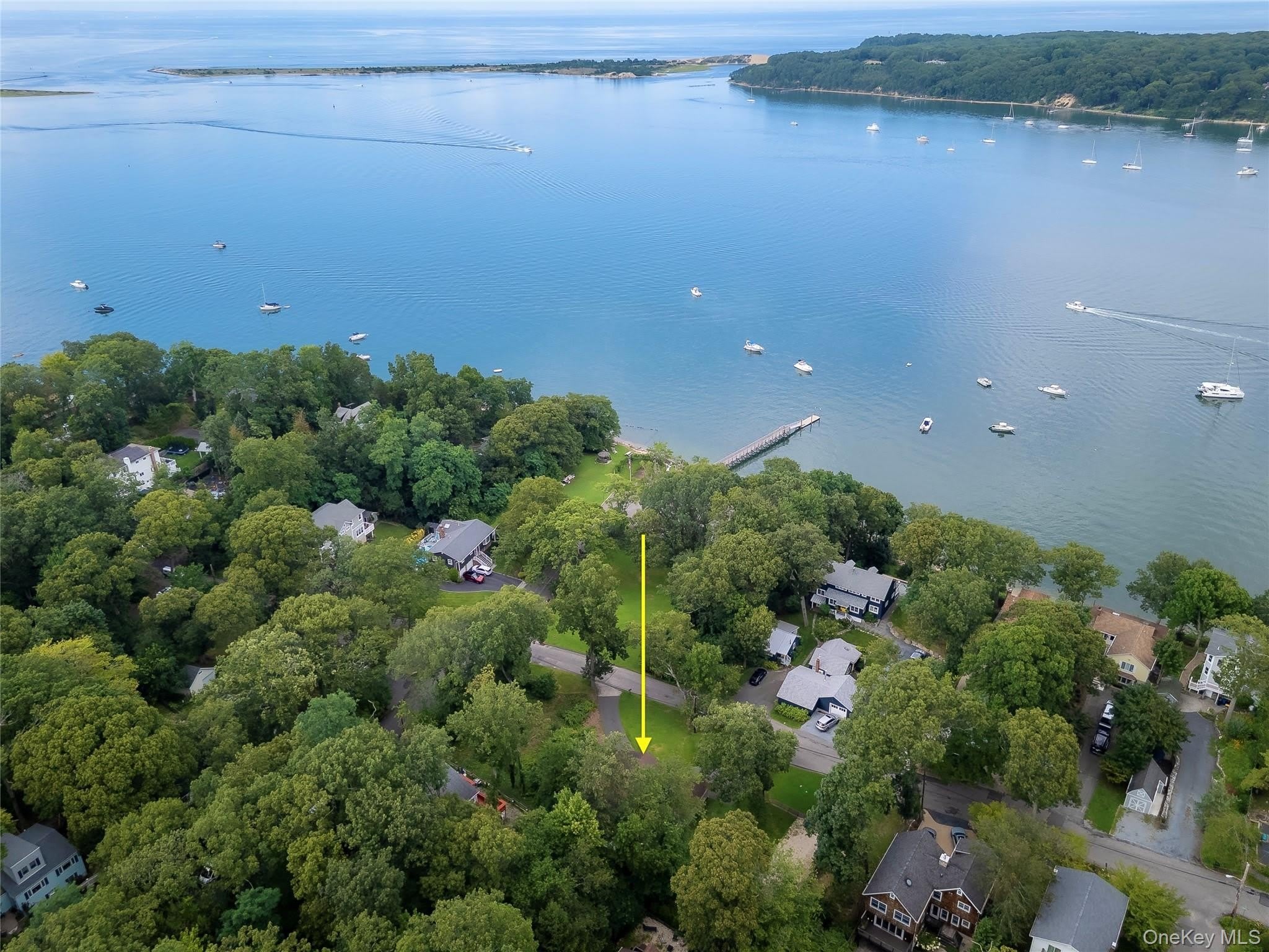 44 Chestnut Avenue – photo 2