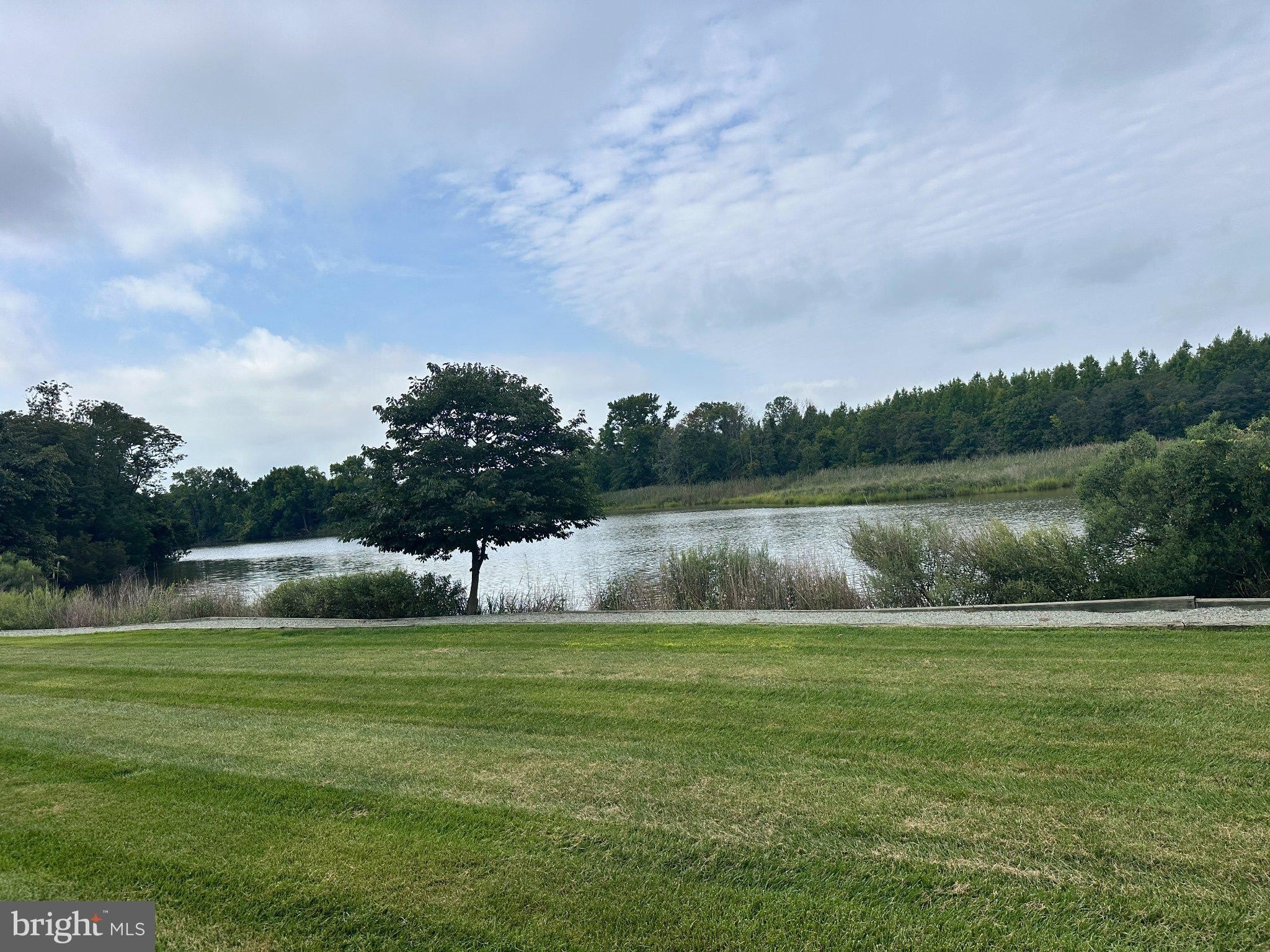 1206 MARION QUIMBY Drive – photo 2