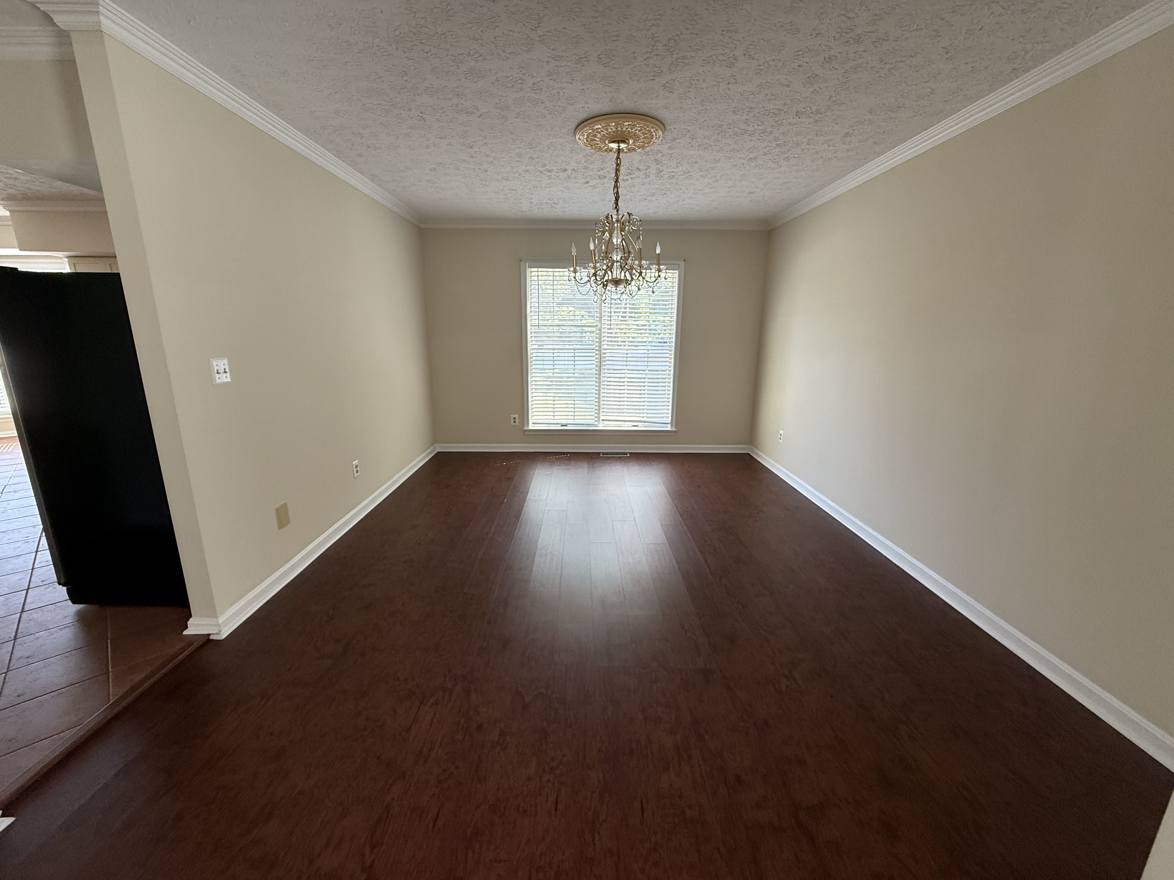 101 Tarks Lane – photo 5