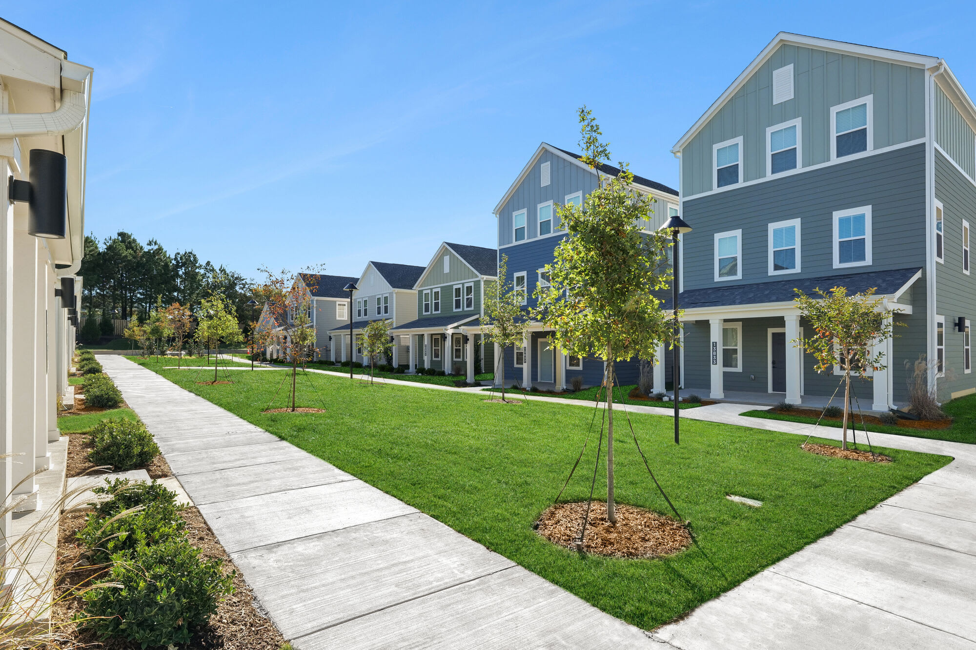 Hamlet Huntersville – photo 3