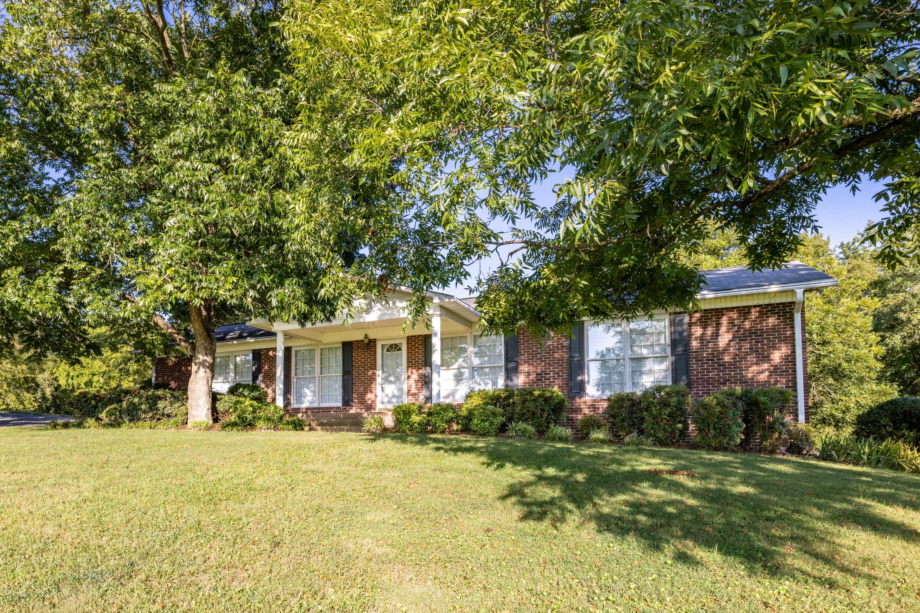 34838 Ellen Road – photo 5